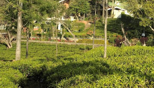Teanest By Nature Resorts And Stays Coonoor Kültér fotó